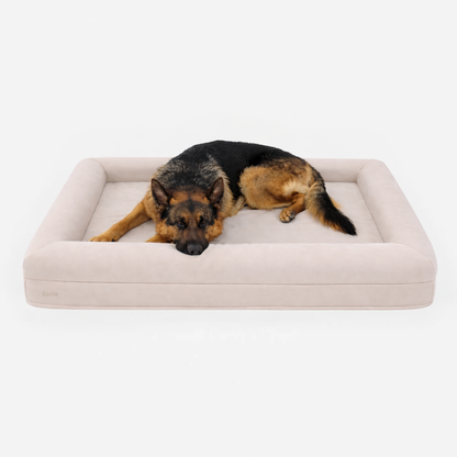 Bestie Bed - Extra Large