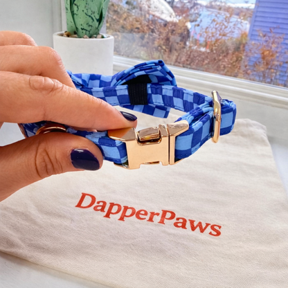 DapperPaws | Hondenhalsband met vlinderdas - Blauw geruit