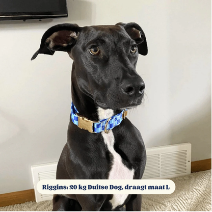 DapperPaws | Hondenhalsband met vlinderdas - Blauw geruit