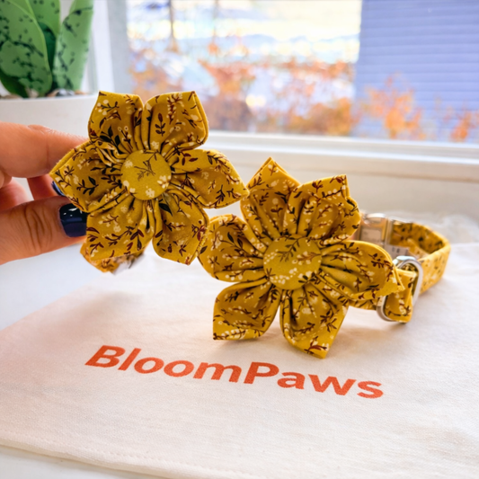 BloomPaws | Verstelbare Hondenhalsband - Zonnige madeliefje