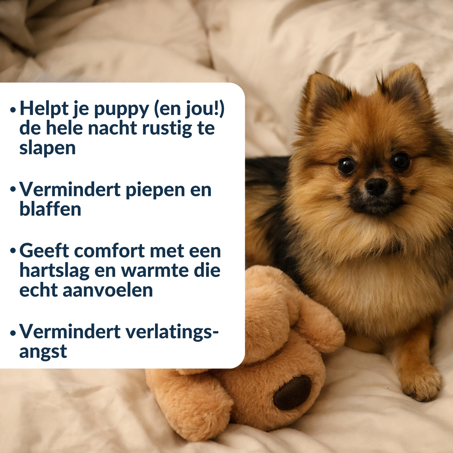 CuddleBuddy | Geeft kleine honden rust door een knuffelbare slaapgenoot