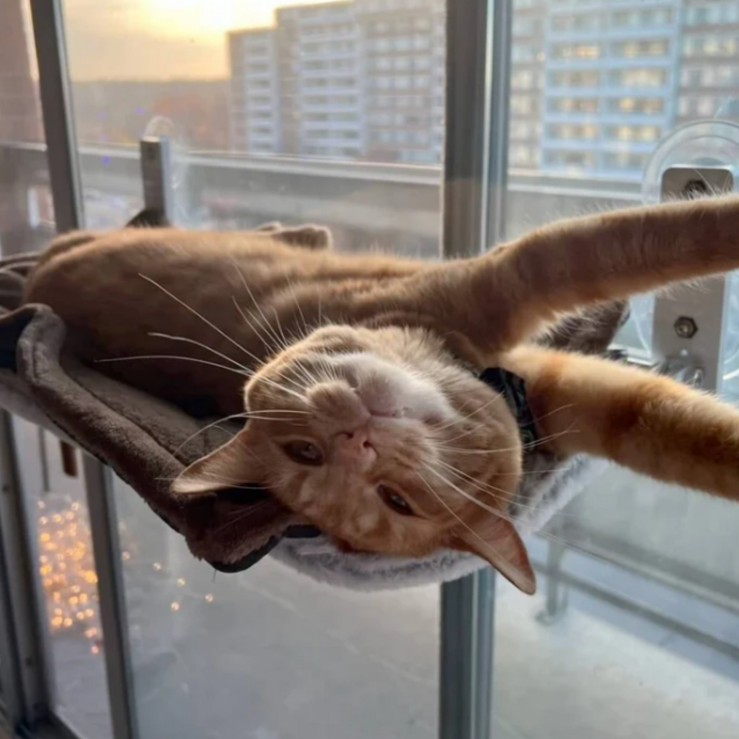 Kattenhangmat | Opvouwbaar en Comfortabel
