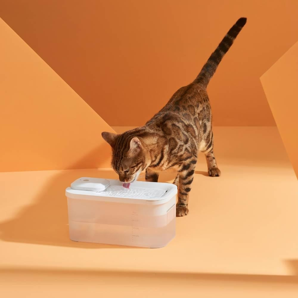 Draadloze Drinkfontein voor Katten – Stil & Gefilterd Water