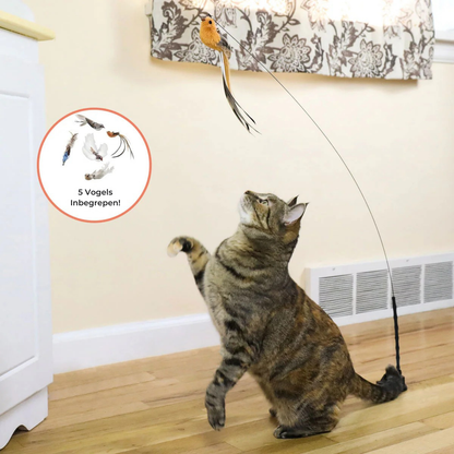 Interactieve Vogelsimulatie Katten Speelgoedset