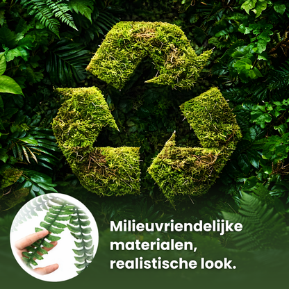 Leaflush | Botanische Perfecte Boston Varen