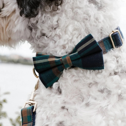 DapperPaws | Hondenhalsband met vlinderdas - Heertje