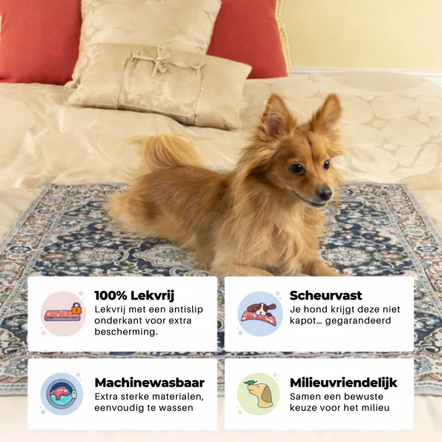 FrisMat | Duurzame Plasmat voor huisdieren