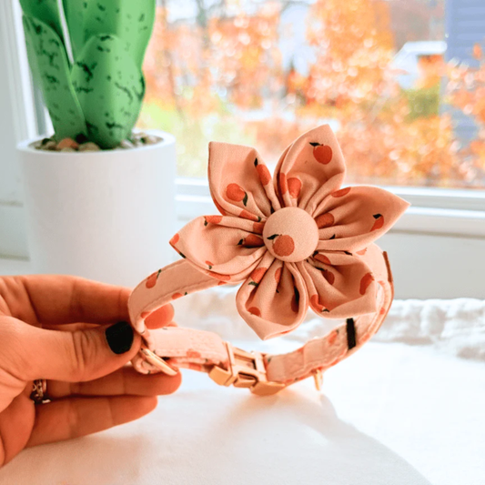 BloomPaws | Verstelbare Hondenhalsband - Perzik blos