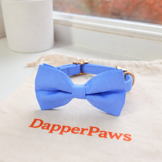 DapperPaws | Hondenhalsband met vlinderdas - Babyblauw
