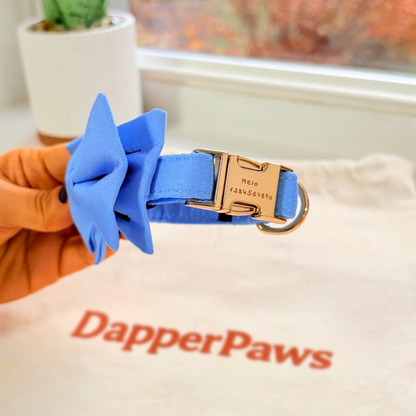 DapperPaws | Hondenhalsband met vlinderdas - Babyblauw