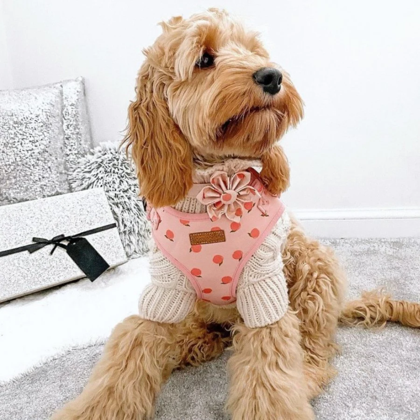 BloomPaws | Verstelbare Hondenhalsband - Perzik blos
