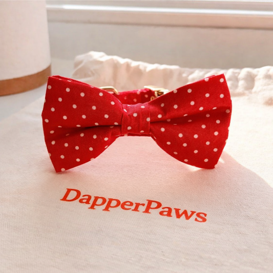 DapperPaws | Hondenhalsband met vlinderdas - Rood met stippen