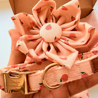 BloomPaws | Verstelbare Hondenhalsband - Perzik blos