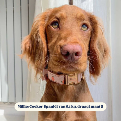 BloomPaws | Verstelbare Hondenhalsband - Perzik blos