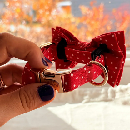 DapperPaws | Hondenhalsband met vlinderdas - Rood met stippen