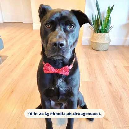 DapperPaws | Hondenhalsband met vlinderdas - Rood met stippen