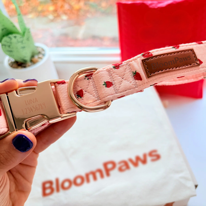 BloomPaws | Verstelbare Hondenhalsband -  Rosie Aardbei