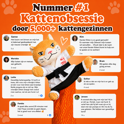 KarateKitten | Interactief kattenspeelgoed