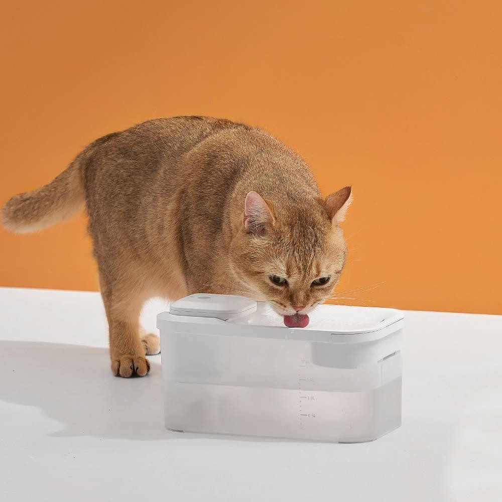 Draadloze Drinkfontein voor Katten – Stil & Gefilterd Water