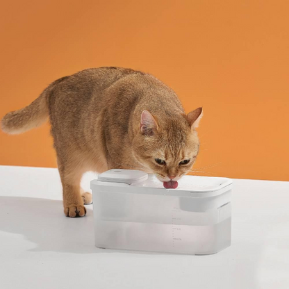 Draadloze Drinkfontein voor Katten – Stil & Gefilterd Water