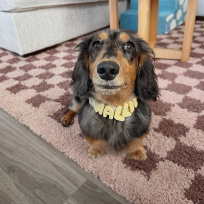 BestieCollar | Persoonlijke Hondenhalsband