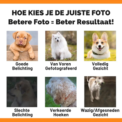 Gepersonaliseerde hondenspeelgoedbox