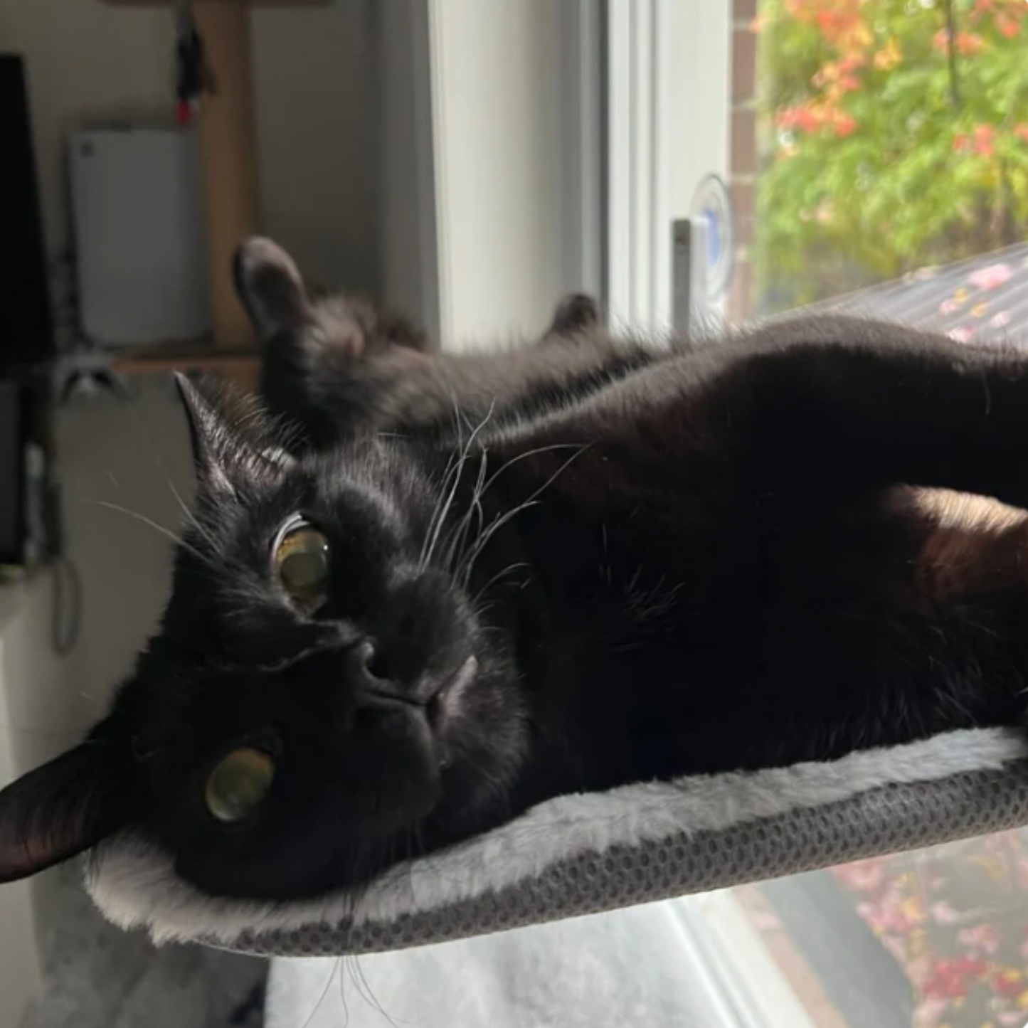 Kattenhangmat | Opvouwbaar en Comfortabel
