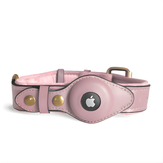 PawGuard | Hondenhalsband voor AirTag