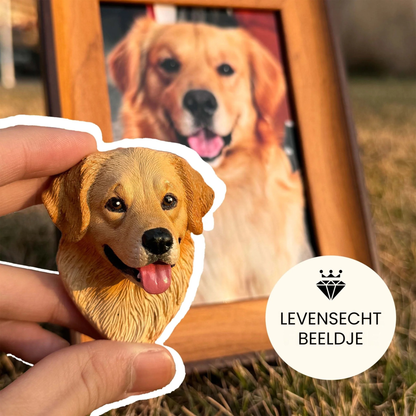 FiguraPet | Gepersonaliseerde Huisdier Magneet