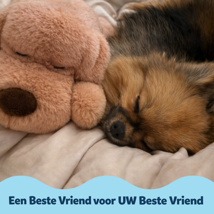 CuddleBuddy | Geeft kleine honden rust door een knuffelbare slaapgenoot