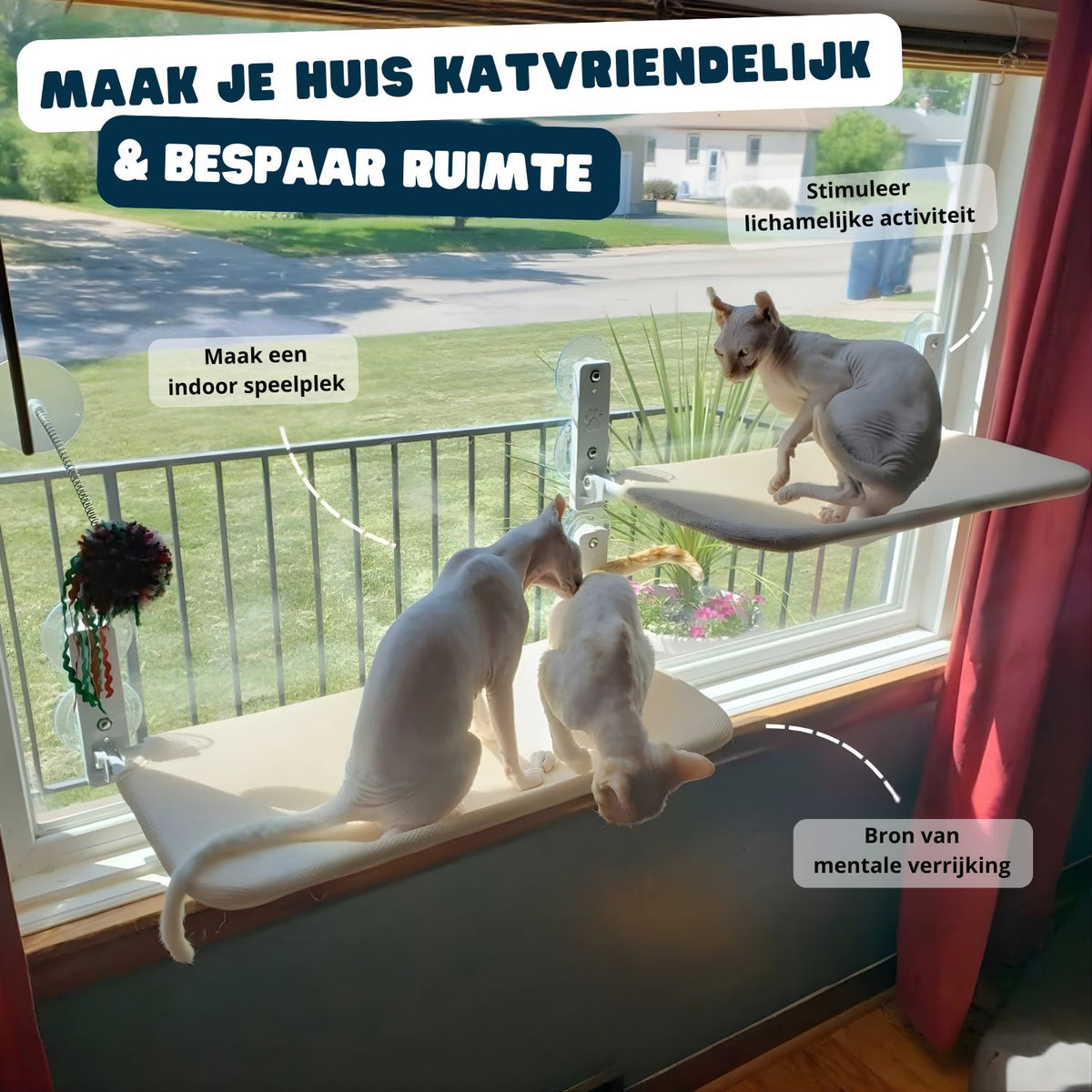Lunaro | Raamhangmat voor Katten – Opvouwbaar, Stabiel en Comfortabel