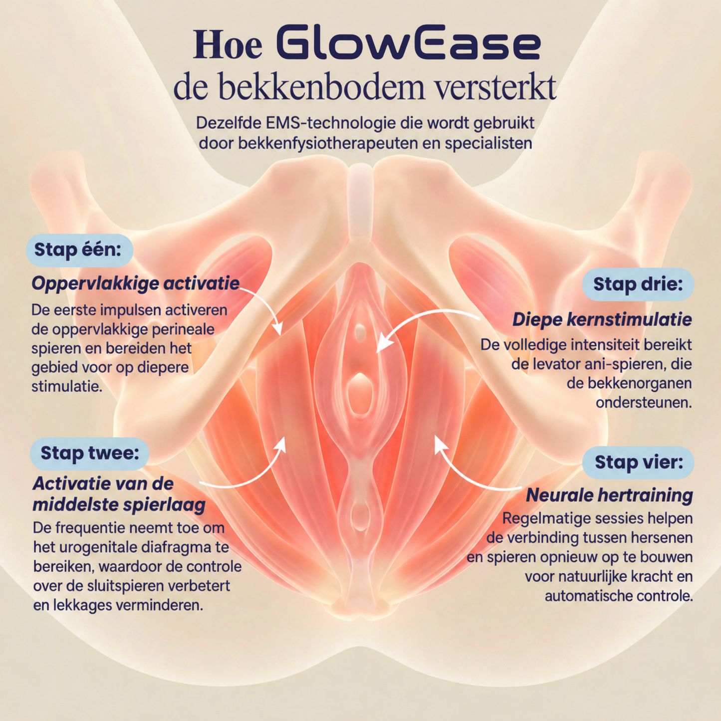 GlowEase | Klinisch EMS bekkenbodem-systeem