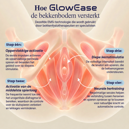 GlowEase | Klinisch EMS bekkenbodem-systeem