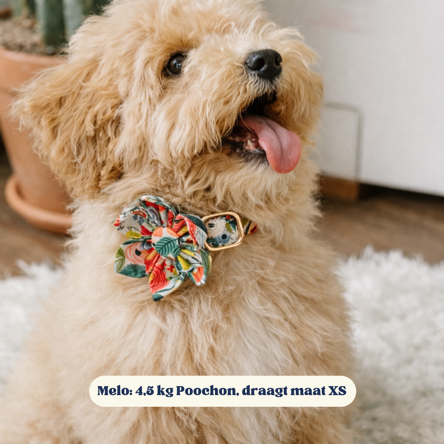 BloomPaws | Verstelbare Hondenhalsband - Ochtend bloemen