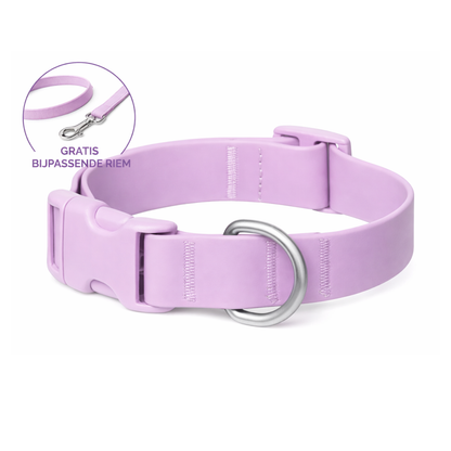 BestieCollar | Persoonlijke Hondenhalsband