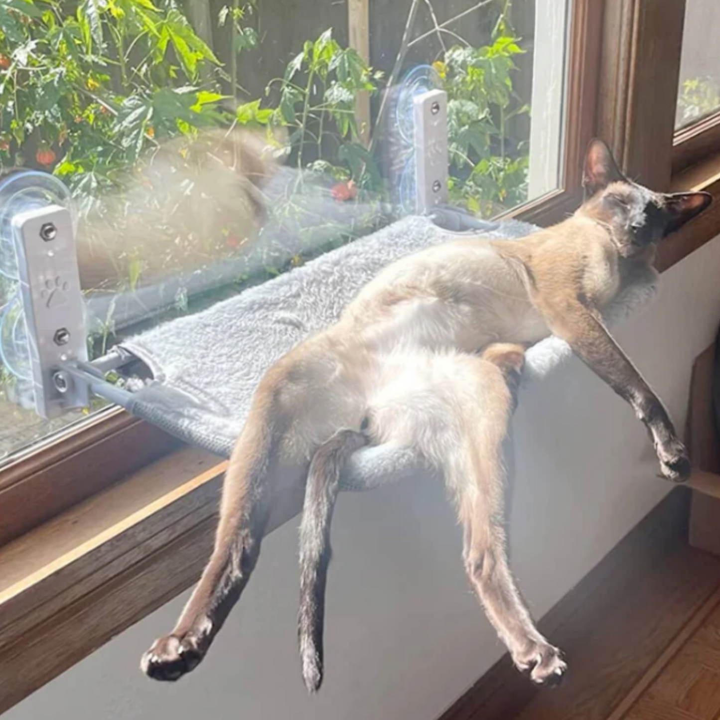 Kattenhangmat | Opvouwbaar en Comfortabel