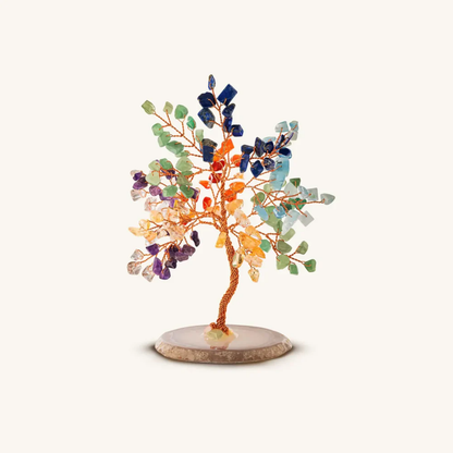 Feng Shui-boom voor kracht en groei (chakra)