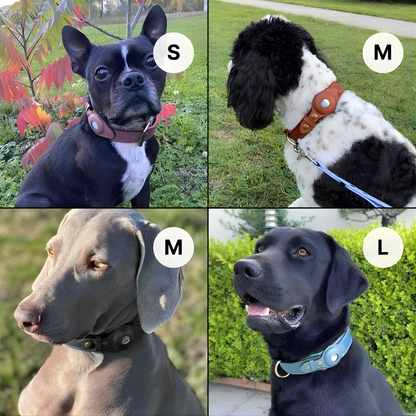 PawGuard | Hondenhalsband voor AirTag