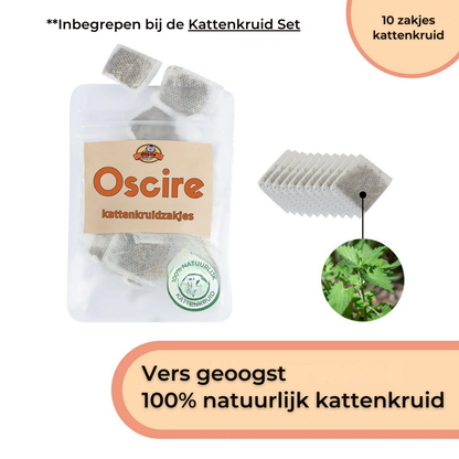 Interactieve Vogelsimulatie Katten Speelgoedset