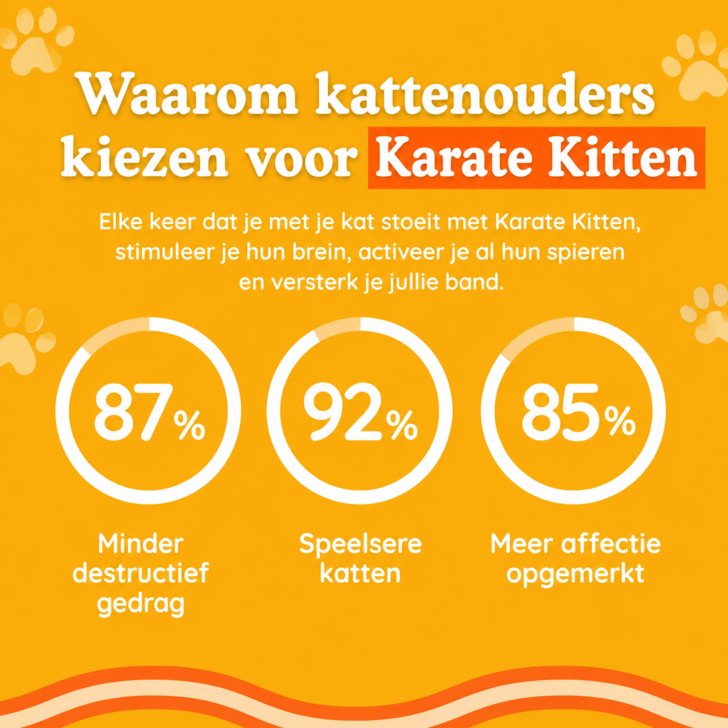 KarateKitten | Interactief kattenspeelgoed