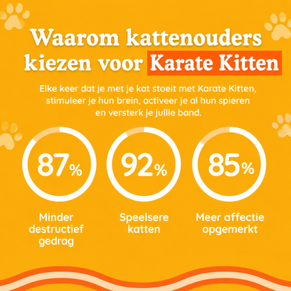 KarateKitten | Interactief kattenspeelgoed