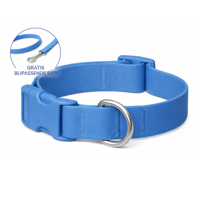 BestieCollar | Persoonlijke Hondenhalsband
