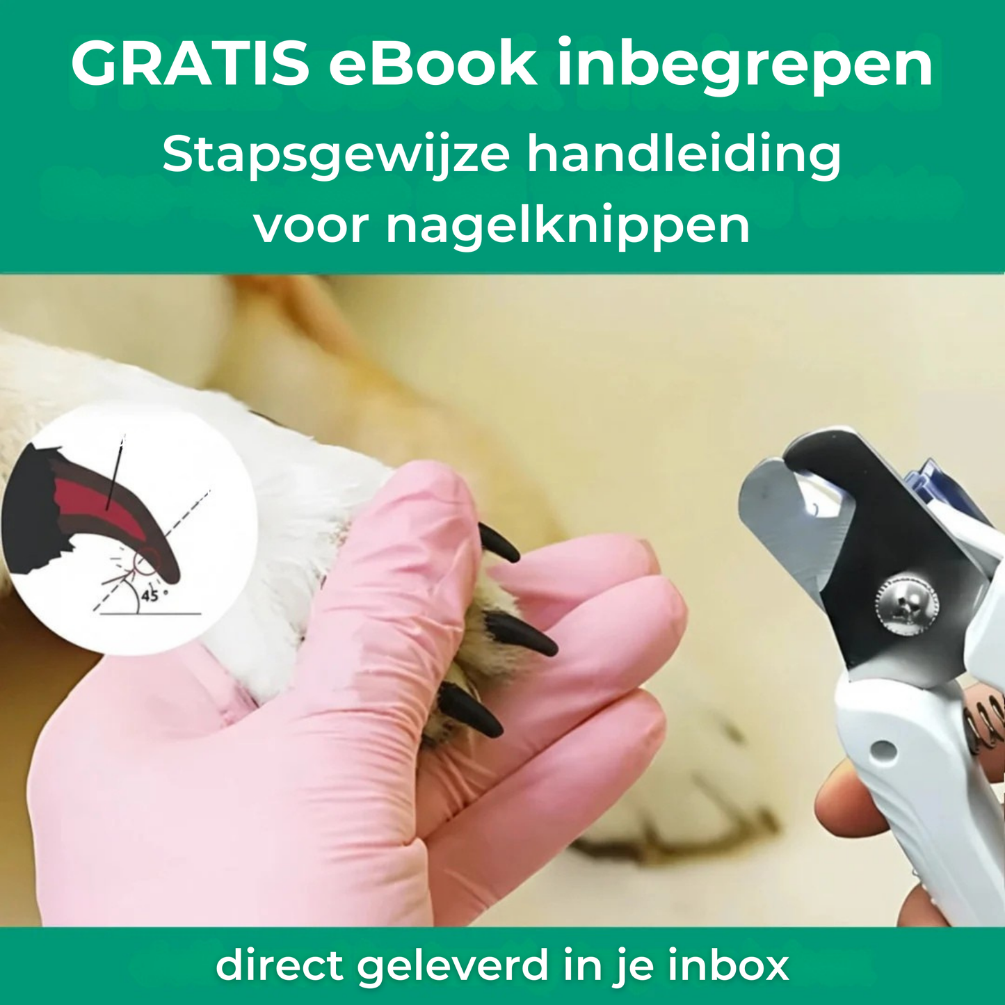 De SafeTrim van Oscire