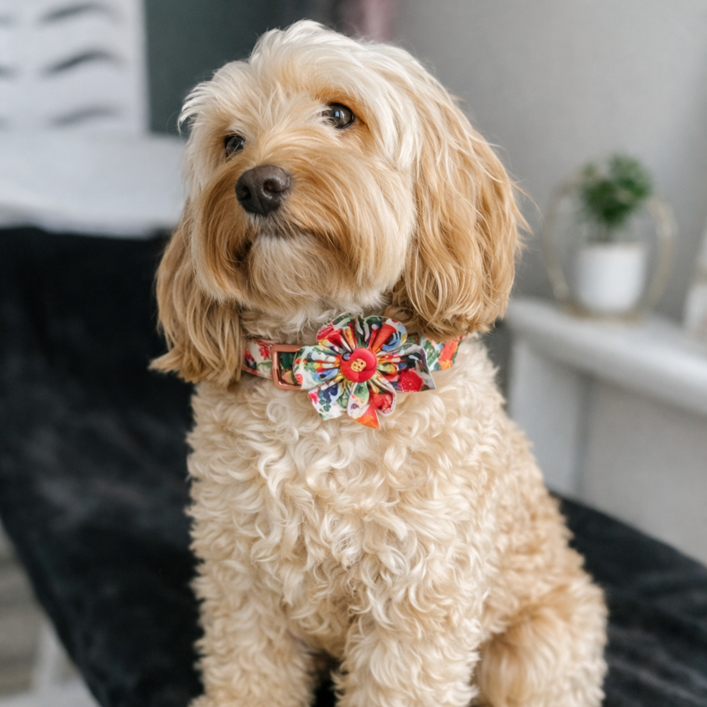 BloomPaws | Verstelbare Hondenhalsband - Ochtend bloemen
