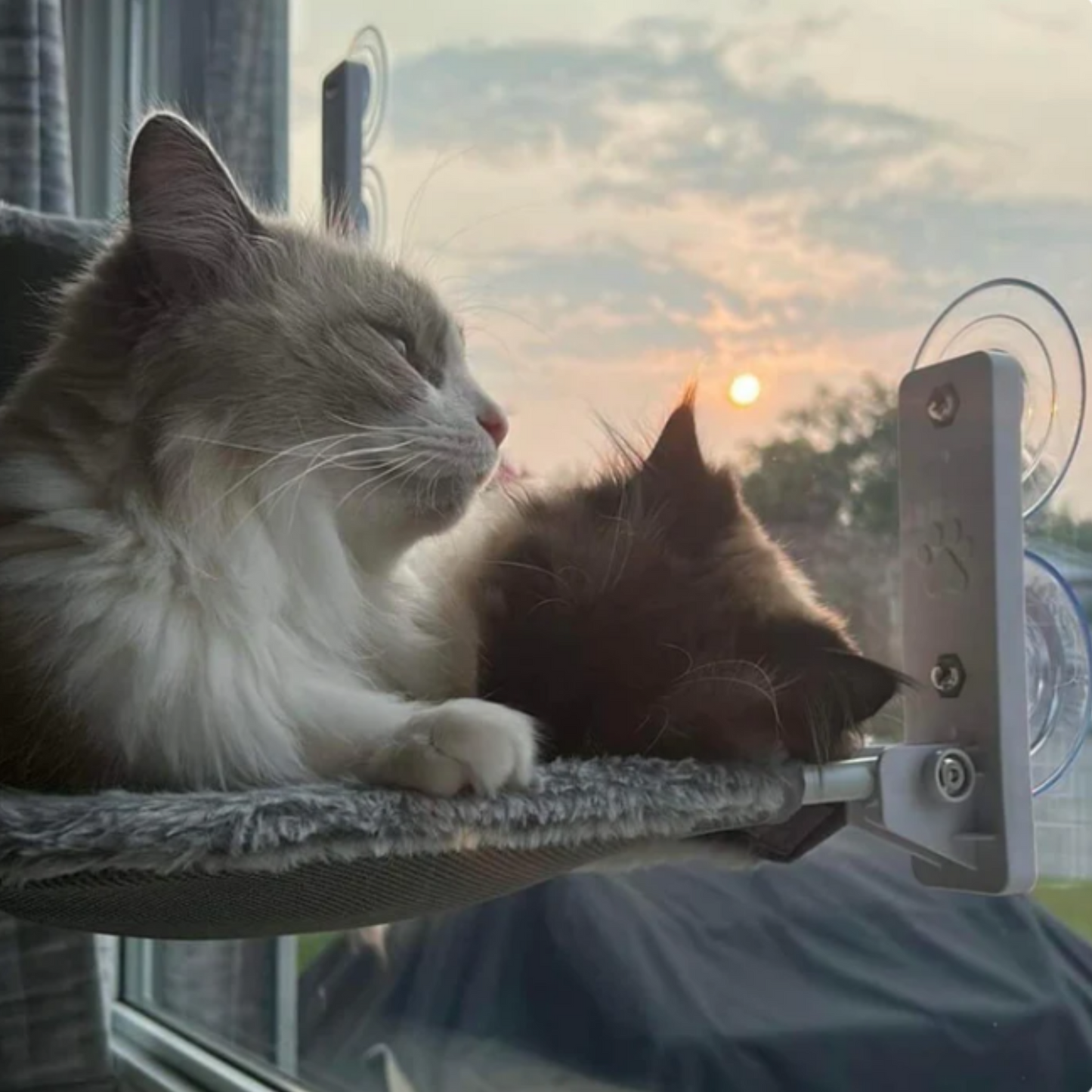 Kattenhangmat | Opvouwbaar en Comfortabel