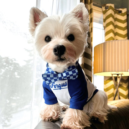 DapperPaws | Hondenhalsband met vlinderdas - Blauw geruit