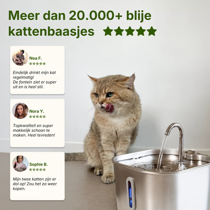 DrinkTijger Mini | Compacte drinkfontein