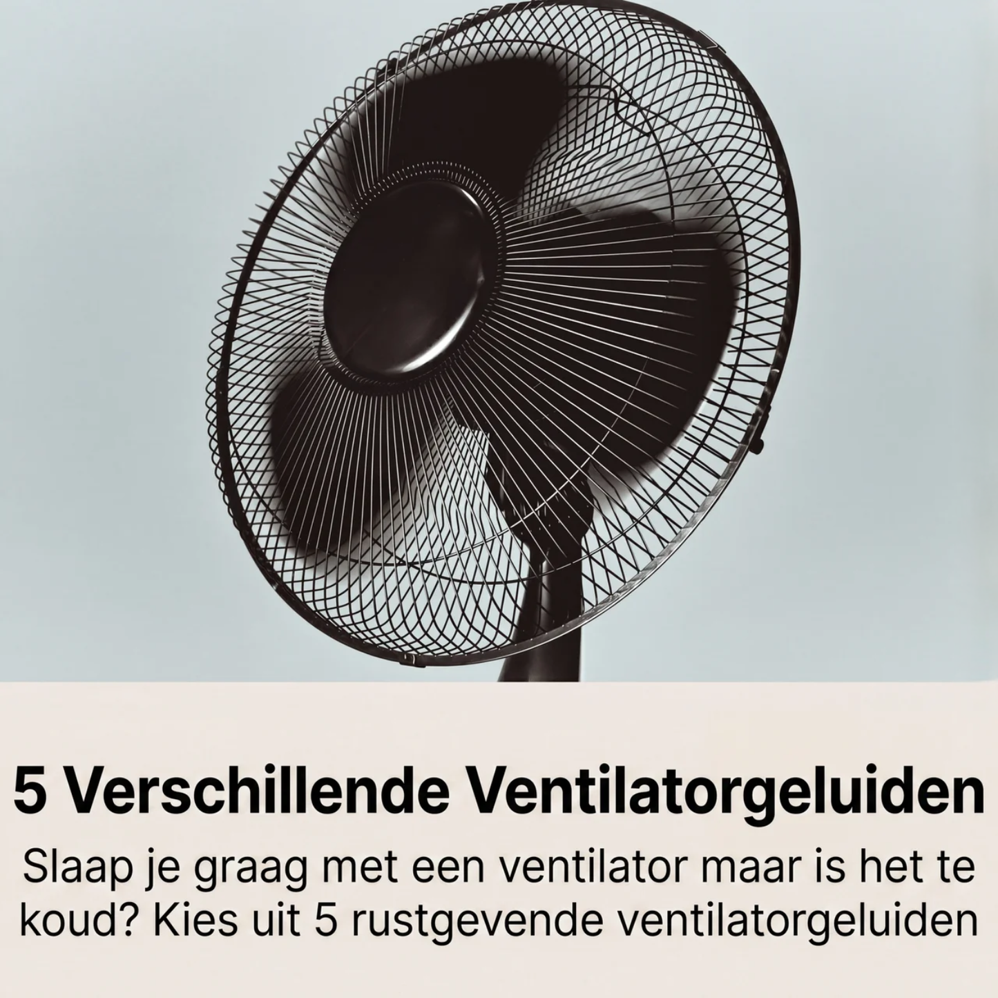 SilentEase | Premium white noise-systeem