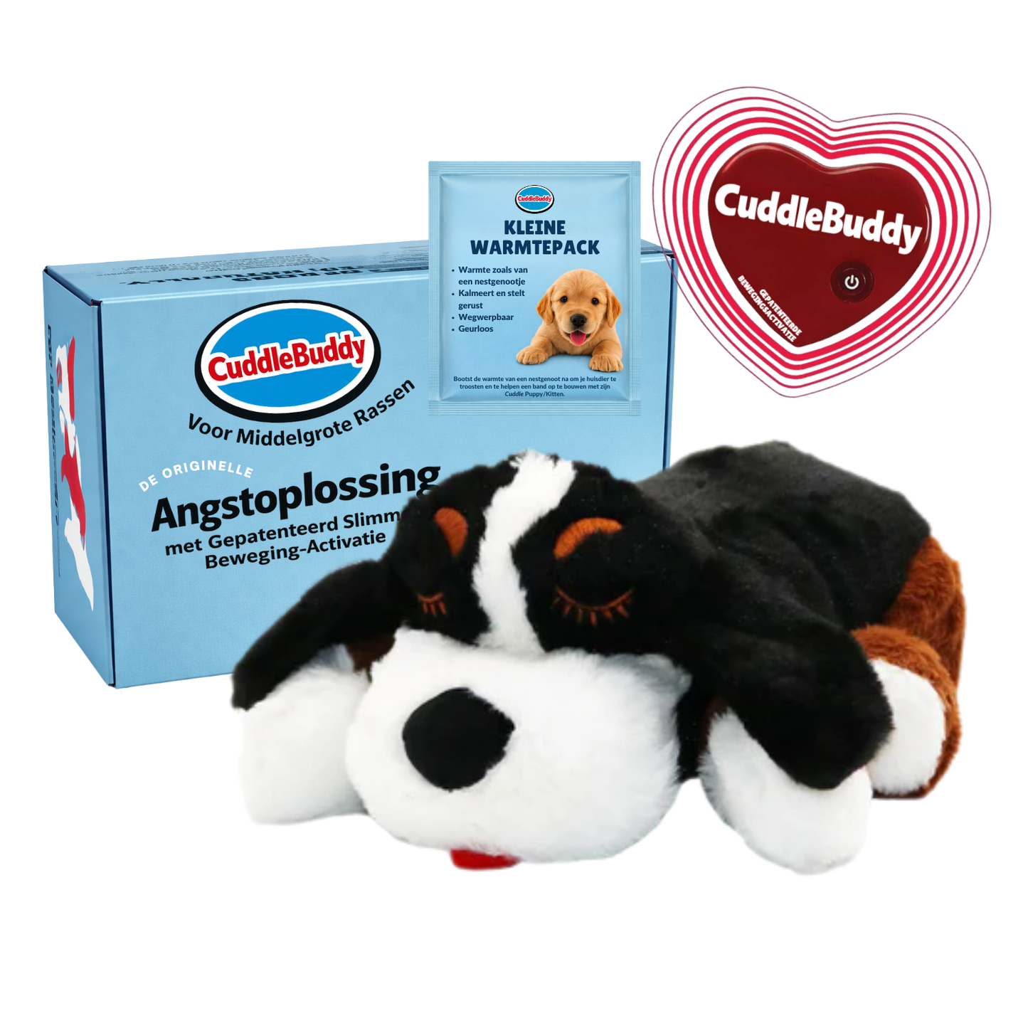 Kleine Rassen - Berner
