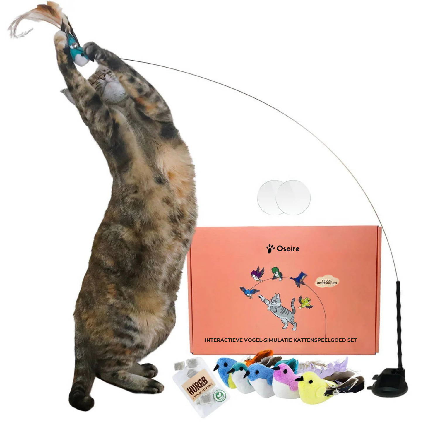 Interactieve Vogelsimulatie Katten Speelgoedset